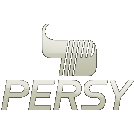 Persy Super Server (SuperMicro H12SSW-NT)