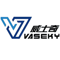 Vaseky V800/32G