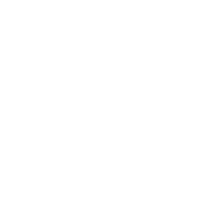 Yeston YESTON P43 PLUS Ver:2.3